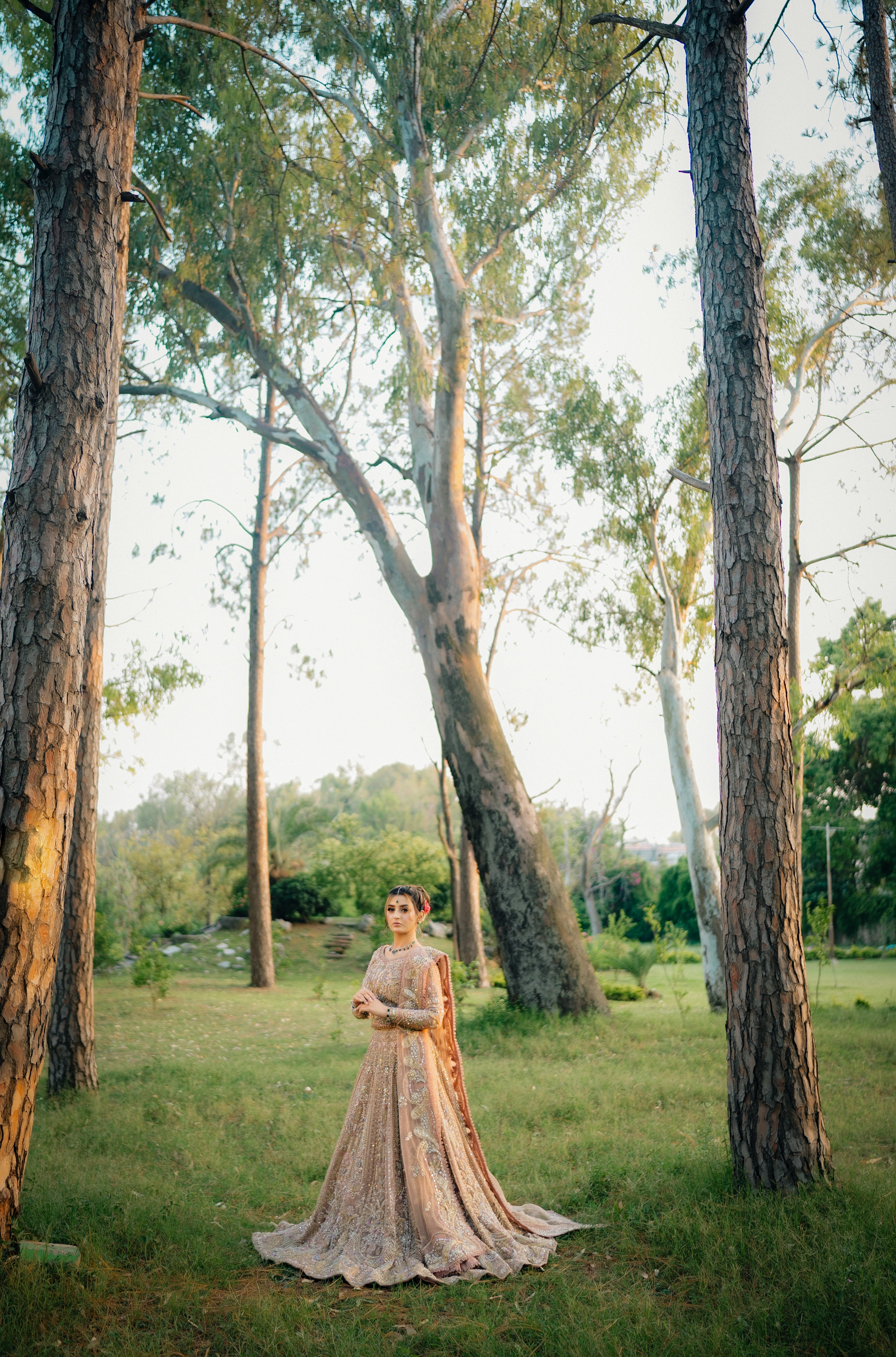 SUFFUSE FAWN LEHNGA CHOLI
