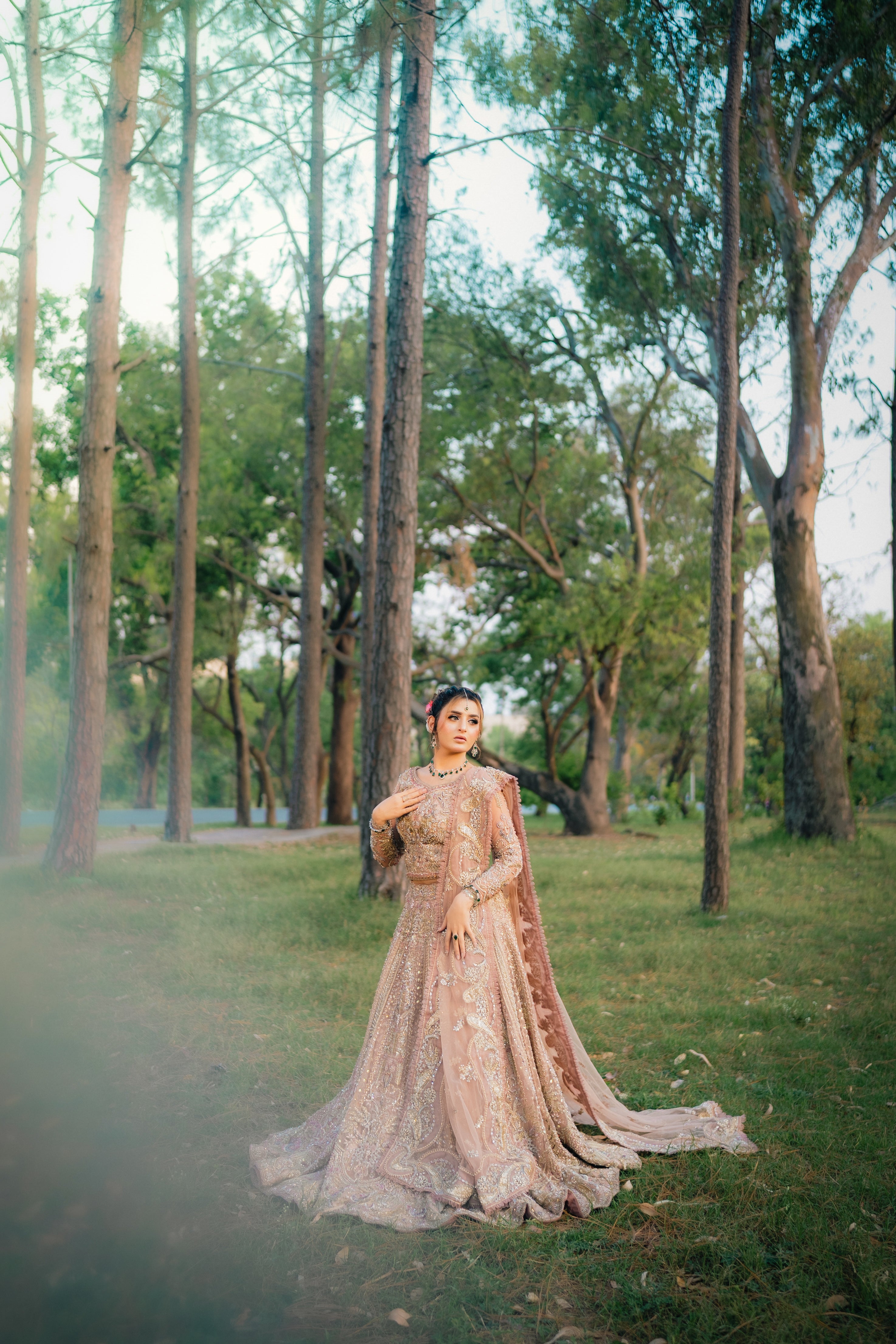 SUFFUSE FAWN LEHNGA CHOLI