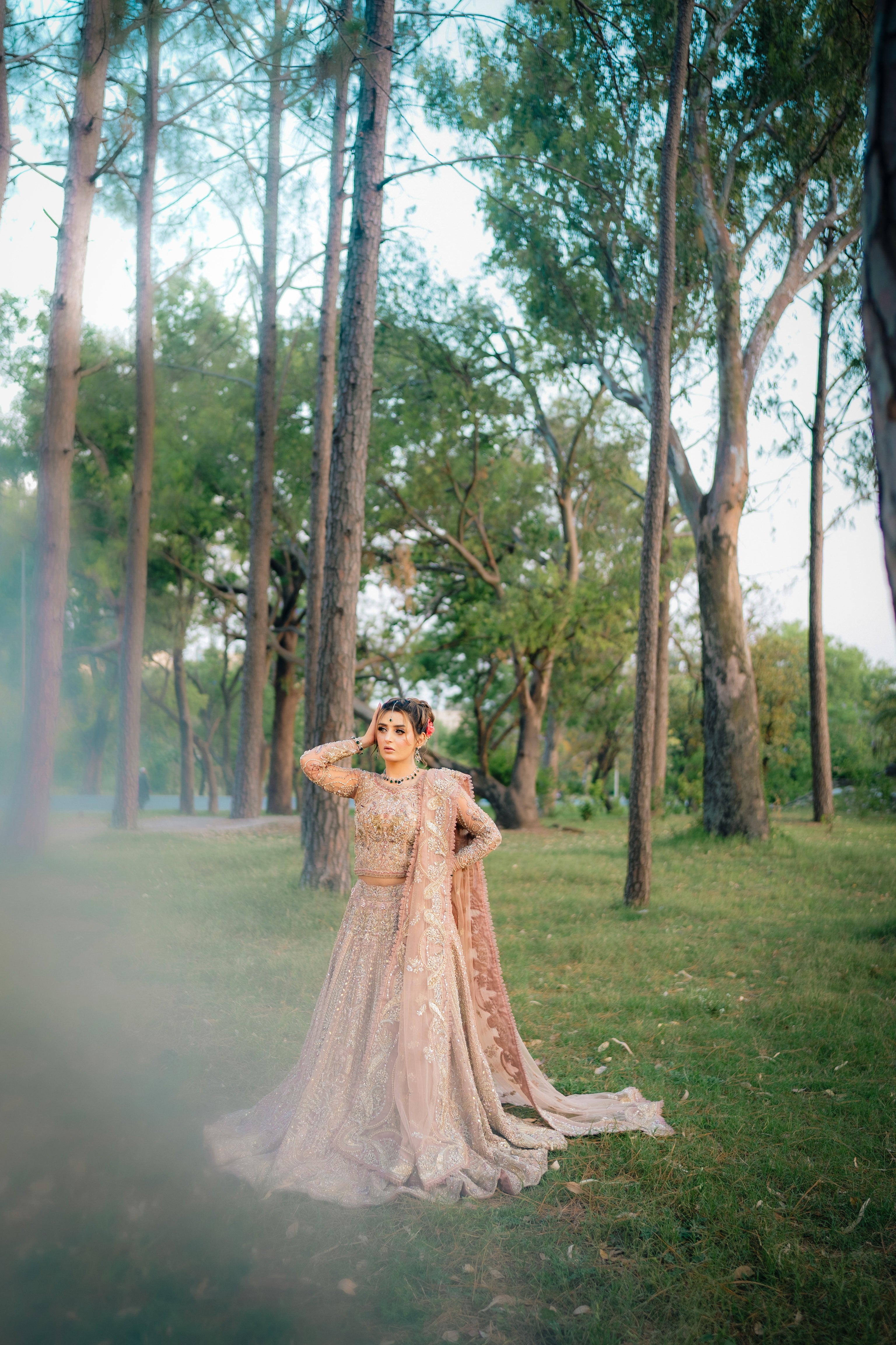 SUFFUSE FAWN LEHNGA CHOLI