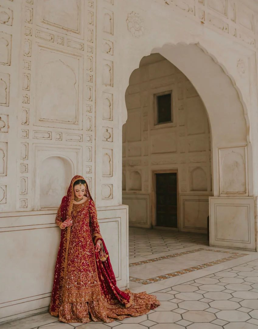 Zeeshan Danish Baraat-ZD10