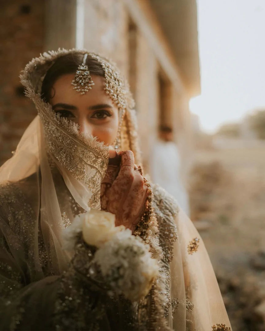 Saad Bin Shahzad  Stella-SB01