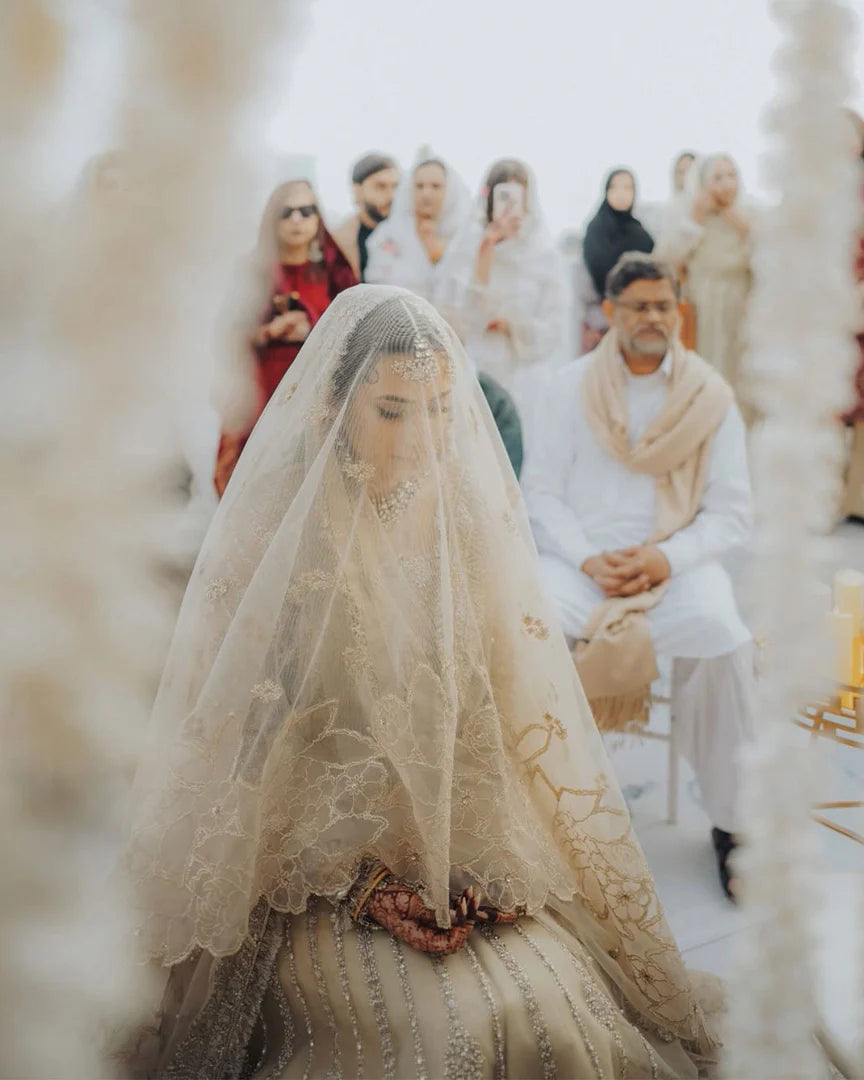 Saad Bin Shahzad  Stella-SB01