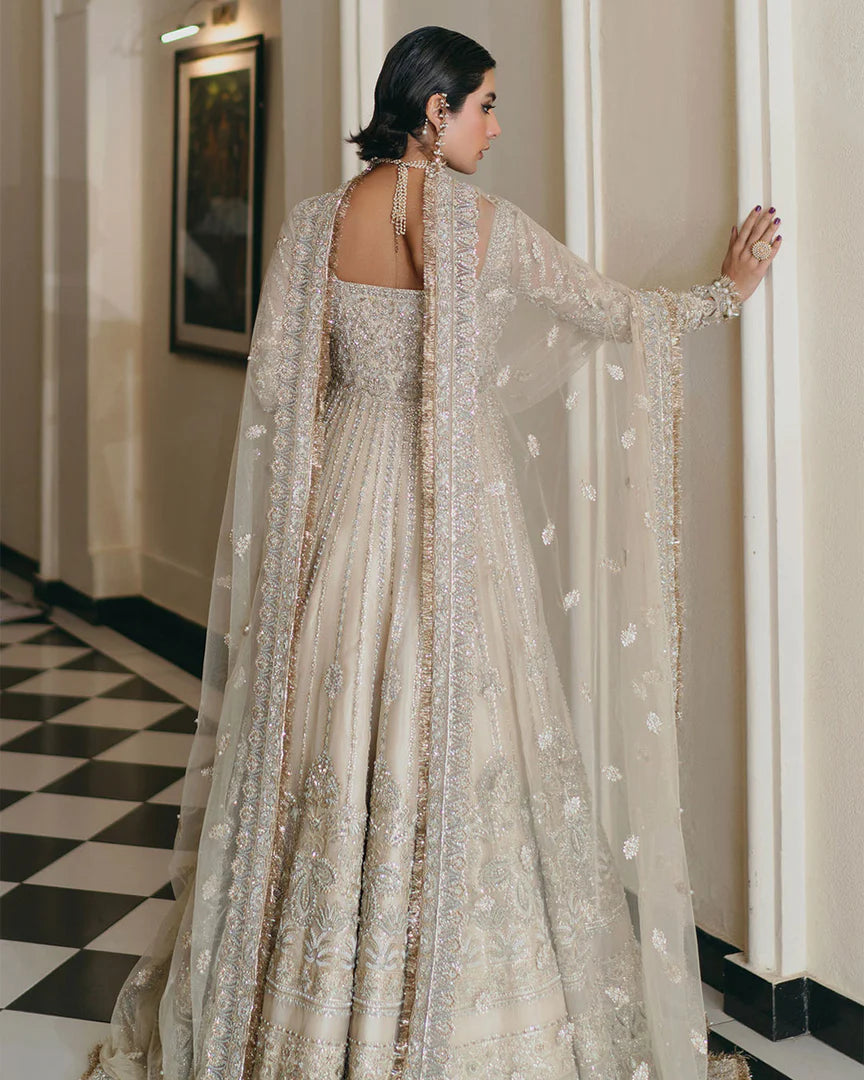 Saad Bin Shahzad  Stella-SB01