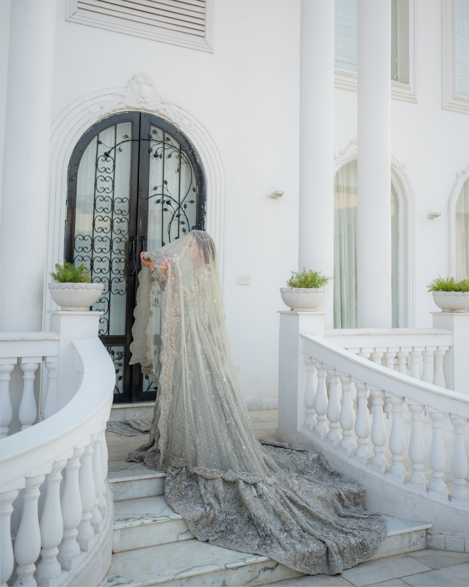 Suffuse Grey Tail- SUF01