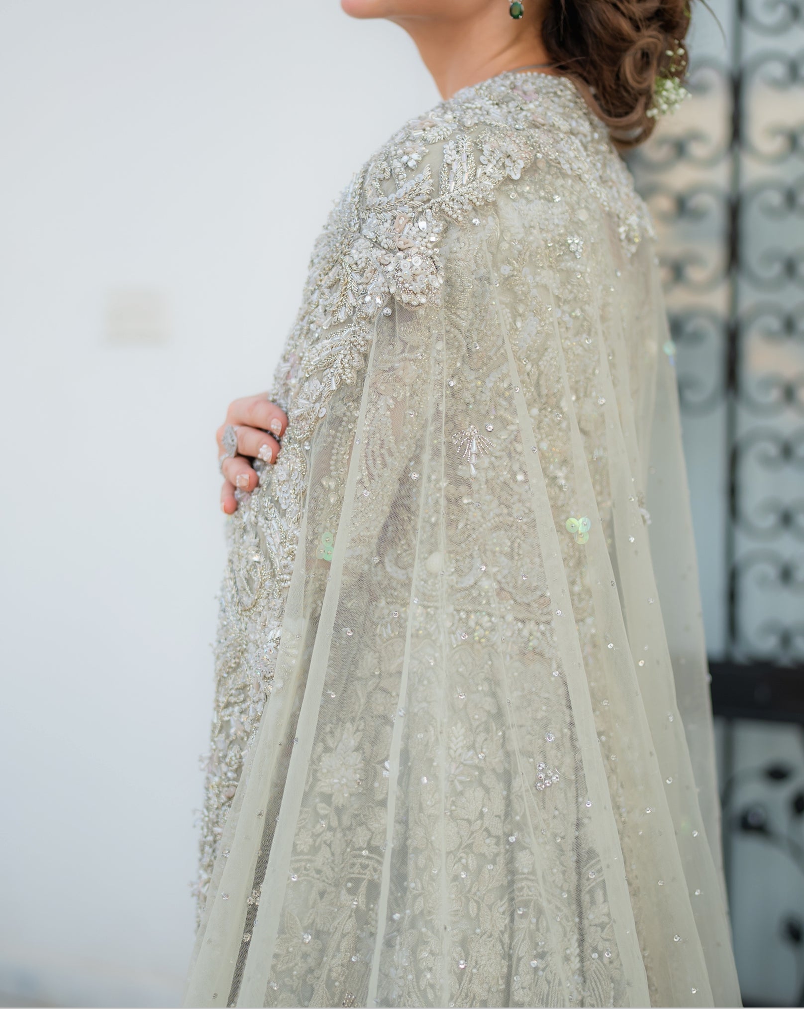 Suffuse Grey Tail- SUF01