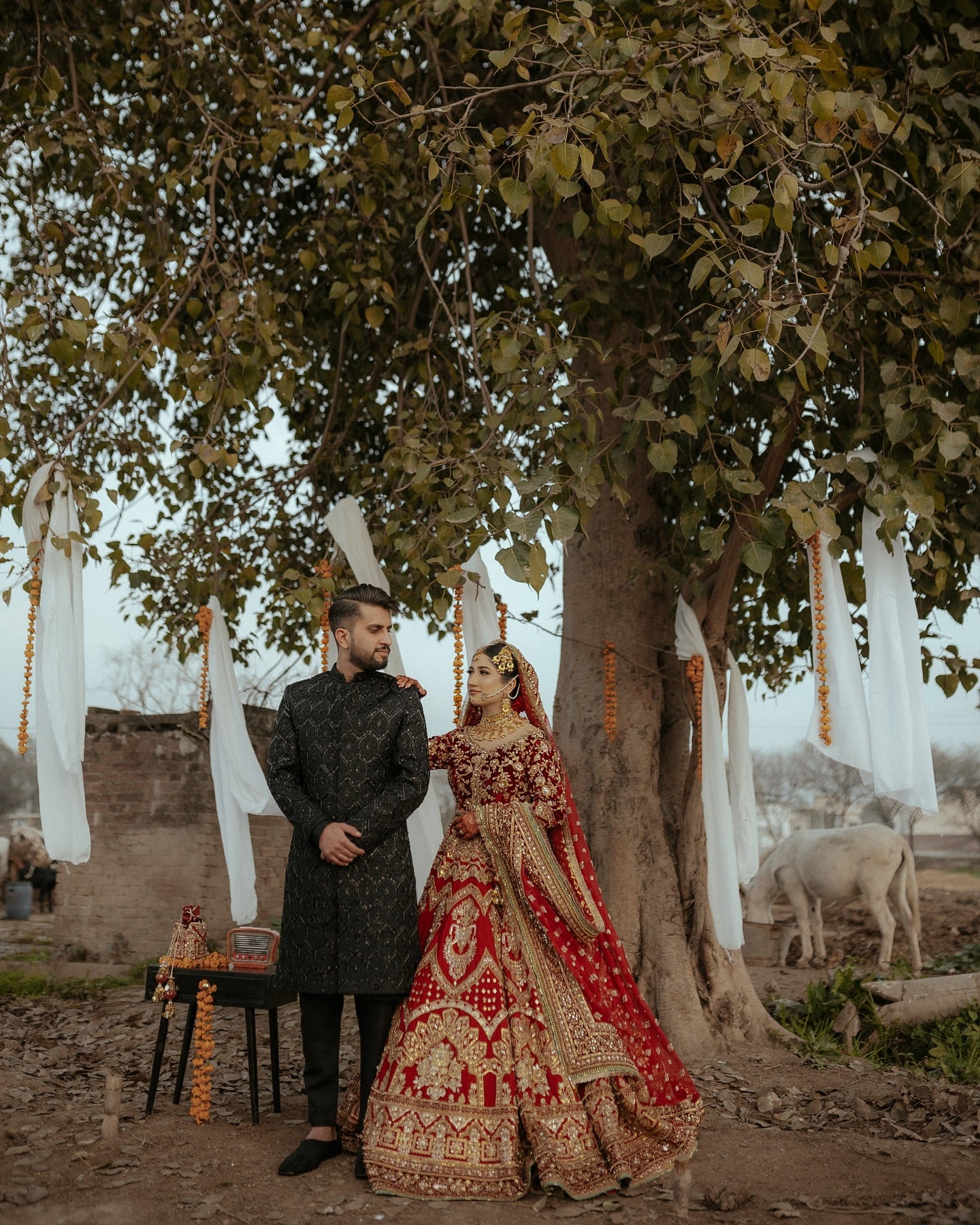 MNR Waheeda Velvet Choli-MNR29